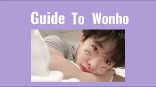 a short basic guide to wonho that no one asked for for new wenees 