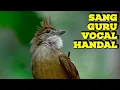 Download Lagu SUARA KAPAS TEMBAK GACOR DOR NGEPLONG TEMBAKAN RAPAT