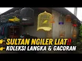 Download Lagu SULTAN PUN NGILER‼️ KOLEKSI BURUNG LANGKA \u0026 GACORAN MEWAH DI KENKEN BIRDSHOP MATRAMAN🔥