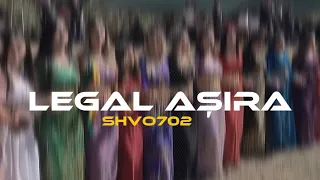                                                دندنها
