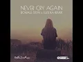 Never Cry Again (Rowald Steyn & Gustixa Remix)