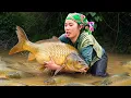 Download Lagu Catching a Giant School of Monster Carp and Catfish in an Abandoned Pond to Sell at the Market