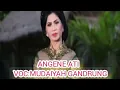 Lagu ANGENE ATI - MUDAIYAH - GANDRUNG