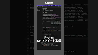 Python Twitter API