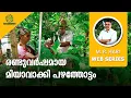 Download Lagu രണ്ടുവർഷമായ മിയാവാക്കി പഴത്തോട്ടം | A MIYAWAKI FRUIT FOREST AFTER TWO YEARS | FRUIT FOREST AT HOME