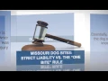 Missouri Dog Bites Strict Liability vs The One Bite Rule