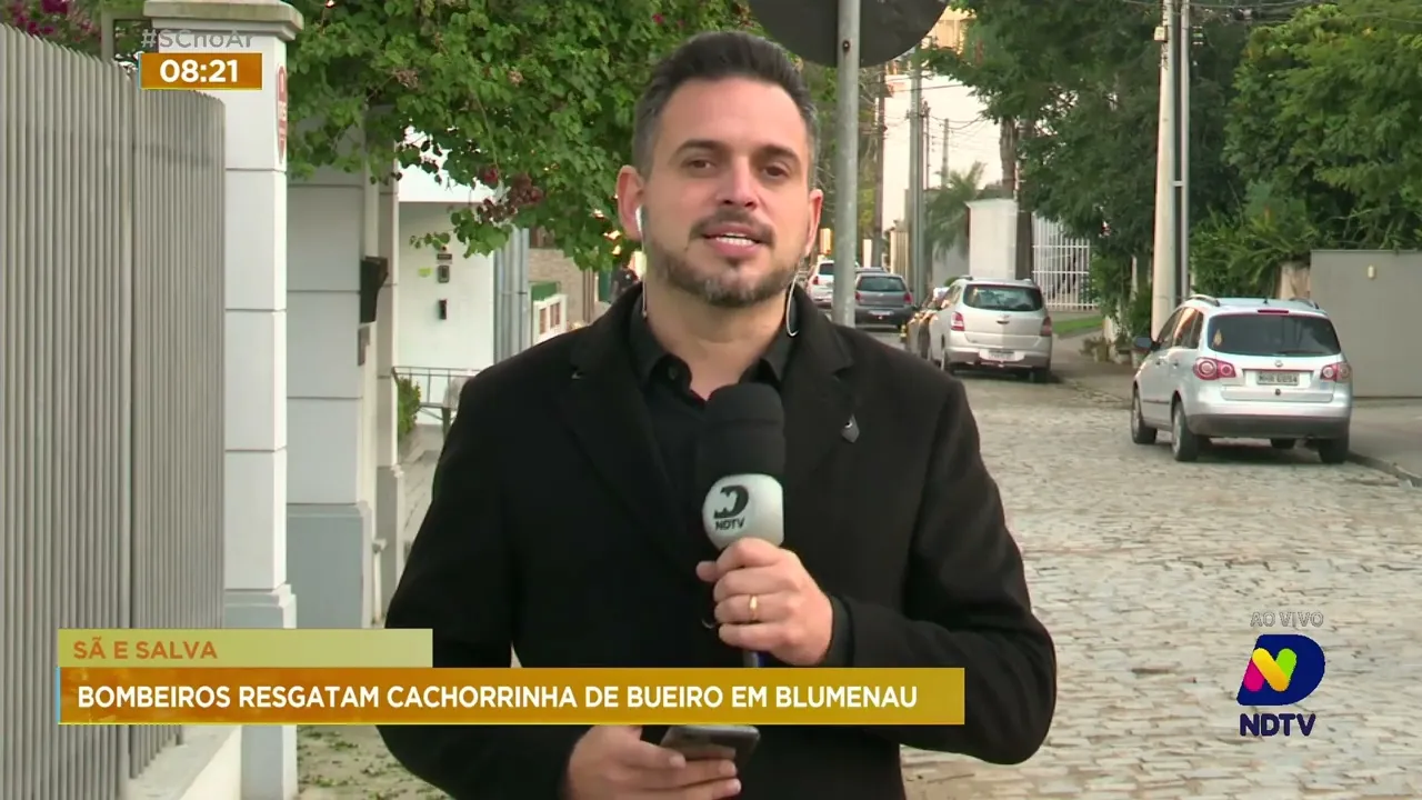 Cachorra presa em bueiro é resgatada por bombeiros e guardas de trânsito em Blumenau