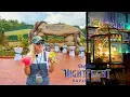 Dollywood NEW NightFlight Expedition First Ride Review Details New Snacks Merch MORE