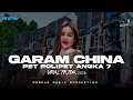 Lagu GARAM CHINA X PET POLIPET ANGKA 7 REMIX FYP TIKTOK GEMPAR MUSIC PRODUCTION | PAULKA MIX