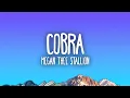 Download Lagu Megan Thee Stallion - Cobra