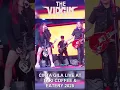 Download Lagu The Virgin - Cinta Gila Live Terbaru #thevirgin #cintagila #livemusic #palembanghits