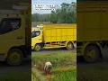 Lagu Lahan pertanian blok D Sitiung 1