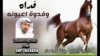 شوفو الزين جاء يمشي على هونه كلمات واداء ابو بدر حصريا 2024 