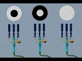 The Retina - Bipolar Cells Horizontal Cells and Photoreceptors