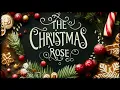 Download Lagu The Christmas Rose 🌹 | Gentle Carol | Lyrics Video