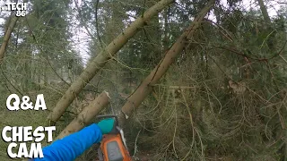 Clearing The Bank Of The Stream From Fallen Trees - Plus Quick Q&A