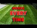 How To Get a Thick Green Lush Lawn Even If You re a Total Beginner
