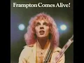 Peter Frampton- Baby I Love Your Way