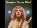 Download Lagu Peter Frampton- Baby I Love Your Way