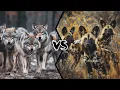 Wolf Pack vs African Wild Dog Pack - Who Would Win