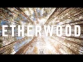 Download Lagu Etherwood - We Are Ever Changing