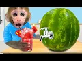 Download Lagu Monyet Bon Bon Imut memanen semangka di kebun untuk membuat jus