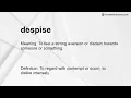 despise Meaning