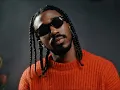 Walgz - Asyad Al Lwari | ولجيز - أسياد اللواري
