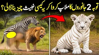 7 Scary Hybrid Animals That Actually Exist😱