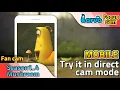 Lagu [LARVA FOCUS Cam] Season 1 | Episode 4 | Mushroom (Larva Vertical Fan Cam)