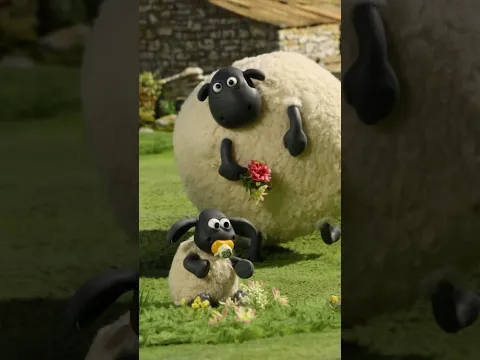 Shirley's Head Over Heels 😍💞 | Shaun the Sheep #shorts