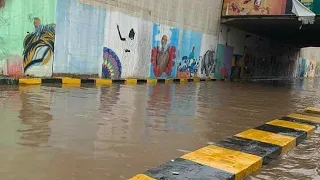 يا طيبة دوب ليك طال الشوق علي مني السلام ليك 