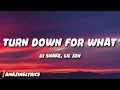 Download Lagu DJ Snake, Lil Jon - Turn Down for What