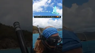 NOT Your Typical Grocery Run🤷‍♀️🦞⛵️ #shortsvideo