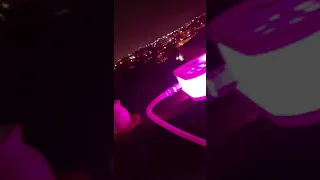 يااغلى من ايامي حالات واتس اب ام كلثوم مع الاركيله 