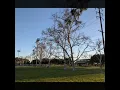 Liberty Park Cerritos