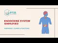 Endocrine System Made Easy Hormones Glands Functions for PTCB Exam Prep