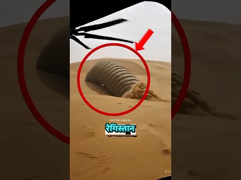 Top 5 Deadliest Desert Animals 😨🏜️