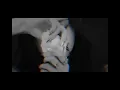 Download Lagu Kim Jisoo || Galdive - Blew Me
