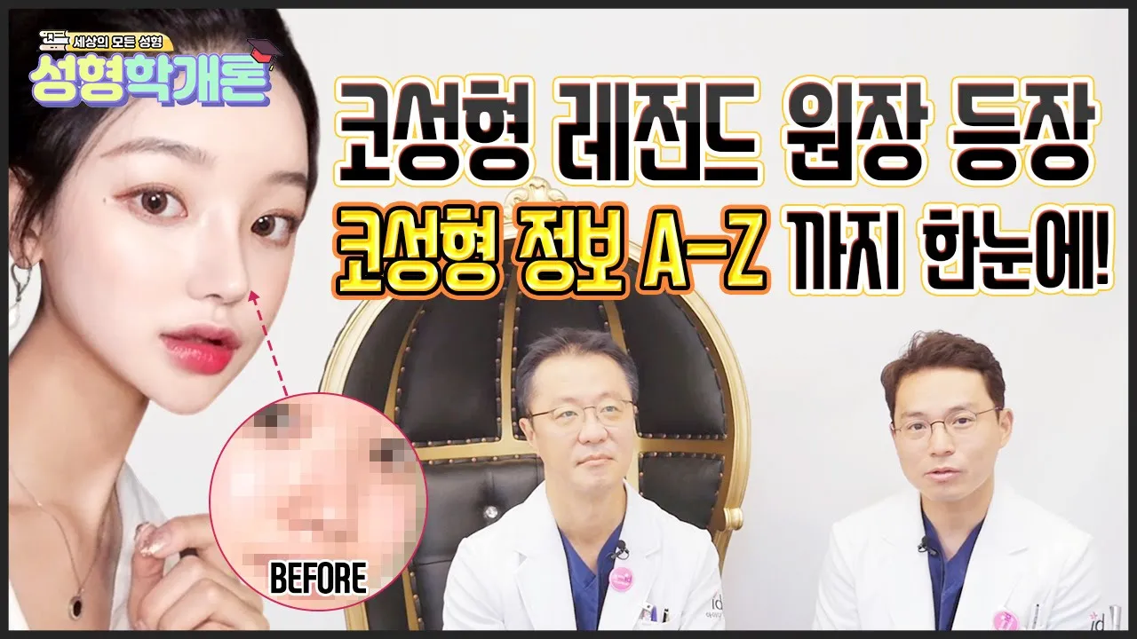 어디서도 들을 수 없는 진짜 코성형 정보(콧대, 코끝, 보형물, 연골) / 성형학개론5편