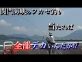 Download Lagu Fukase fishing at Himeji Strait Fishing Park! If you catch a fish, it's all going to be big!