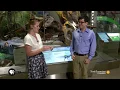 Did the T-Rex Have Feathers Live Highlight