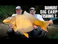 Download Lagu Gábor Döme - My Danube big carp fishing part 6 - When the river rewrites the rules II.