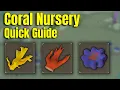 Coral Nursery Quick Guide OSRS