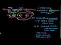 148 LinkedListReversalRecursion