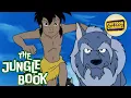 Download Lagu The Jungle Book // Episode 49 // Free Cartoons for Kids // Adventure Toons // Animated Series