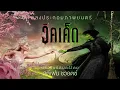 Download Lagu Popular (Thai) | Wicked