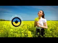 "Зелене листя, білі каштани"