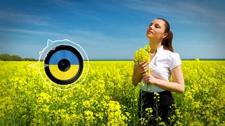 Зелене листя білі каштани 