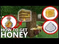How To Get HONEY In MINECRAFT